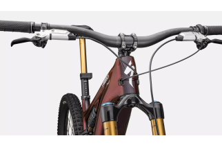 S-Works Turbo Levo 4