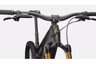 Turbo Levo 4 Pro