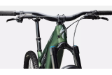 Turbo Levo 4 Expert