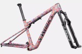 S-Works Epic World Cup Frameset